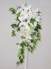 �E�G�f�B���O�u�[�P ������