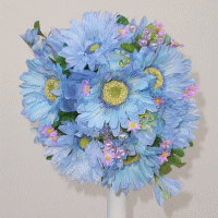 �E�G�f�B���O�u�[�P ������