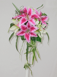 �E�G�f�B���O�u�[�P �J���[�E�I���d������