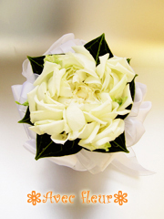 �����ܔ��c���V�A���k