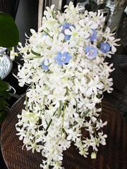 横浜ガーデンでタイト白ドレス