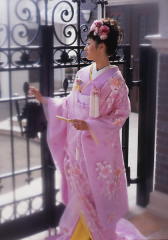 ����s���N�̃I�[�K���W�[�F�Ŋ|