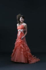 �򕌃T�[�����I�����W�̃��{���t���h���X