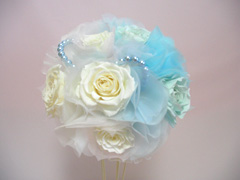 ������ꃉ�E���h�z���C�g�u���[