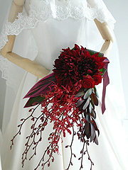 ���ɐ_�˃A�[���u�[�P