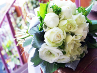 ���l���u�[�P