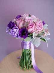 ���l���N���b�`�u�[�P