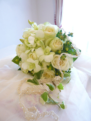 ���l���Ɖ��΂̃��E���h�u�[�P