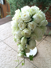 ���l���e�B�A�h���b�v�u�[�P