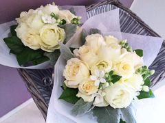 ���l���g�X�u�[�P