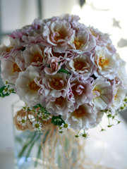 ��t�K�[�f�����[�Y�N���b�`�u�[�P