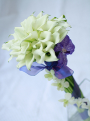 ��t���_���ȃN���b�`�u�[�P