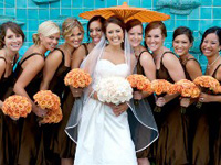 ���l�u�[�P�̃g�[�^���R�[�f�B�l�[�g