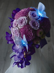 LED���C�g�u�[�P