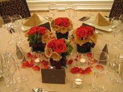 �Q�X�g�e�[�u���t�����[