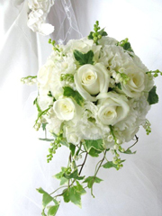 �����k�攒�o���Ȃǂ̃u�[�P