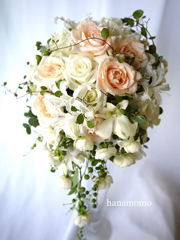 �����k�攒�o���T�[�����s���N�̃o���u�[�P