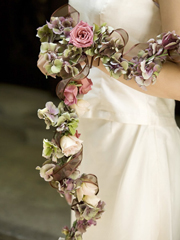 �����k��v���U�[�u�h�t�����[�u�[�P