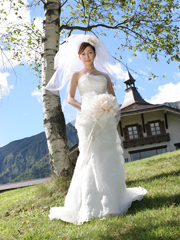 �{���䉮�O���h���X