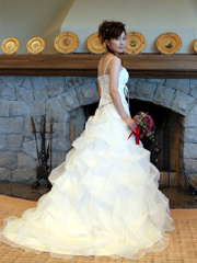 �{����g�F�̑O���h���X