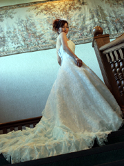 �{����K�i�ւƑ����g���[���̒������h���X