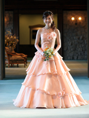 �{����T�[�����s���N�̃J���[�h���X