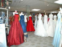 �Q�n�ː���������X��