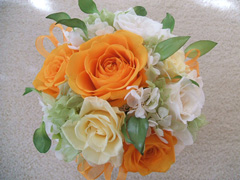 ���m�I�����W�Ɣ��̃��E���h�u�[�P