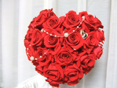 ���m�n�[�g�^�Ԃ��o���̌`�u�[�P