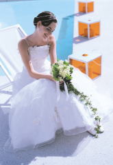 ���V���v�����h���X�ƃu�[�P