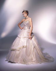 ���x�[�W���̂悤�ȐF�����̃r�X�`�F�^�C�v�h���X