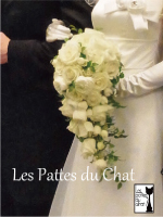 �������p�f���V���̃u�[�P