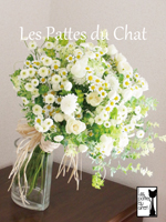 �����}�g���J���A�̃N���b�`�u�[�P