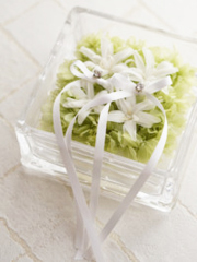 ���m�A�W�T�C�ƃ`���[�x���[�Y�̃����O�s���[