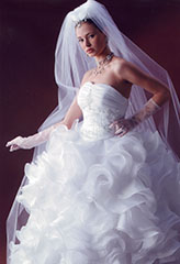 �R���Ԃ̂悤�ȃt�������ӂ񂾂�̔��h���X