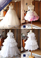 �k�C���D�y�����̕ς��2WAY�h���X