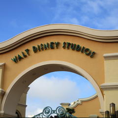 �t�����X�̃f�B�Y�j�[�����h