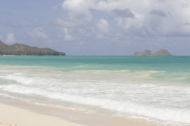 ���j�J�C�E�r�[�`