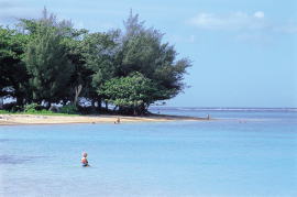 ���j�J�C�E�r�[�`