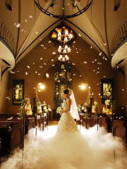 �T���g�X�e�t�@�m����