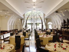 �K�[�f���t���C�^���A��