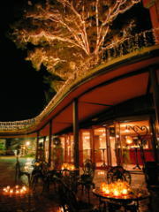 �g���C���C�g�I�[�v���J�t�F