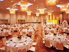 �X�o���P�b�g���[��