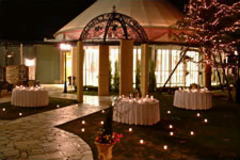 �h�[���^�o���P�b�g