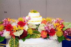 �P�[�L�Ƒ���