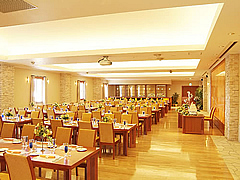 �r�N�g���[��