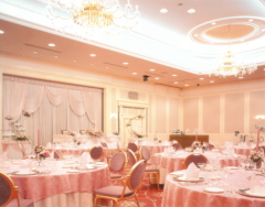 �t�F�~�j���ȃo���P�b�g