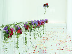 �t�����[�R�[�f�B�l�[�g