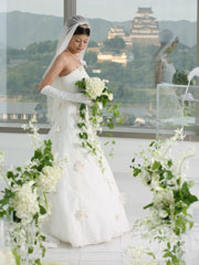 �P�H��̌i�F