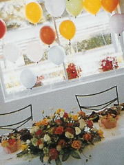 �o���[�����o